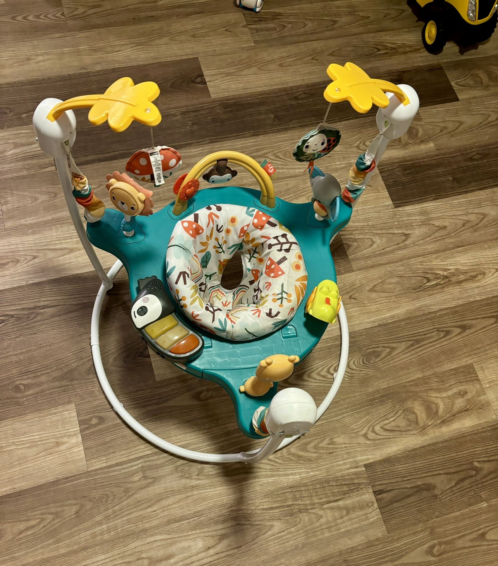 Fisher-Price Baby Jumper