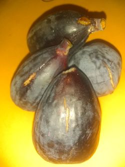 black mision fig fruit seeds