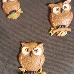 Owls That Kind Of Make Me Sad