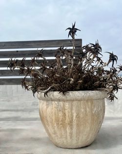 Large Luxury Patio Planters Set (23.5" x 18")