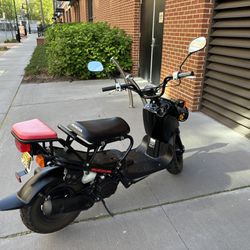 Honda Ruckus Scooter - 49 cc 