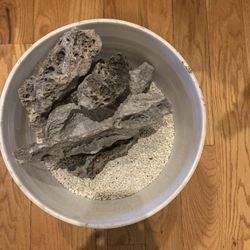 Crushed Coral And Lace Limestone 37 Lbs
