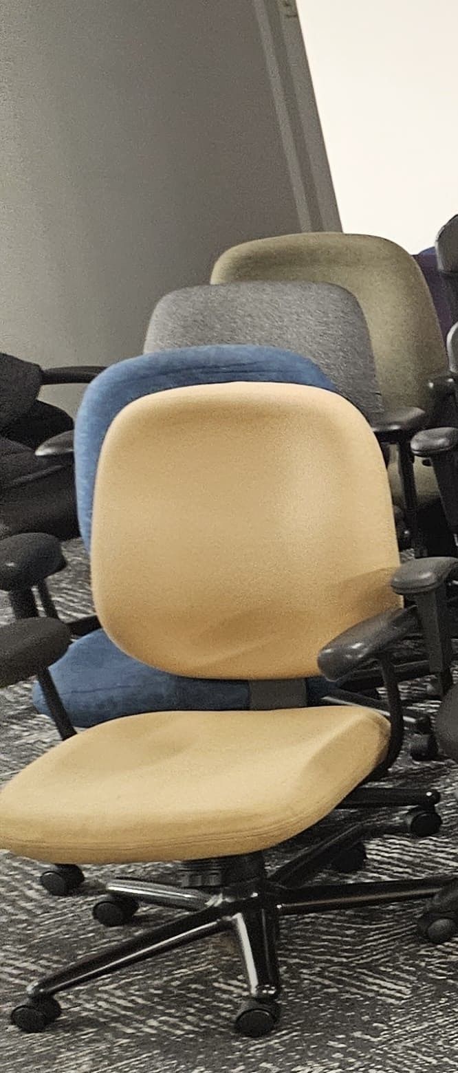 Desk Chairs. $30/each