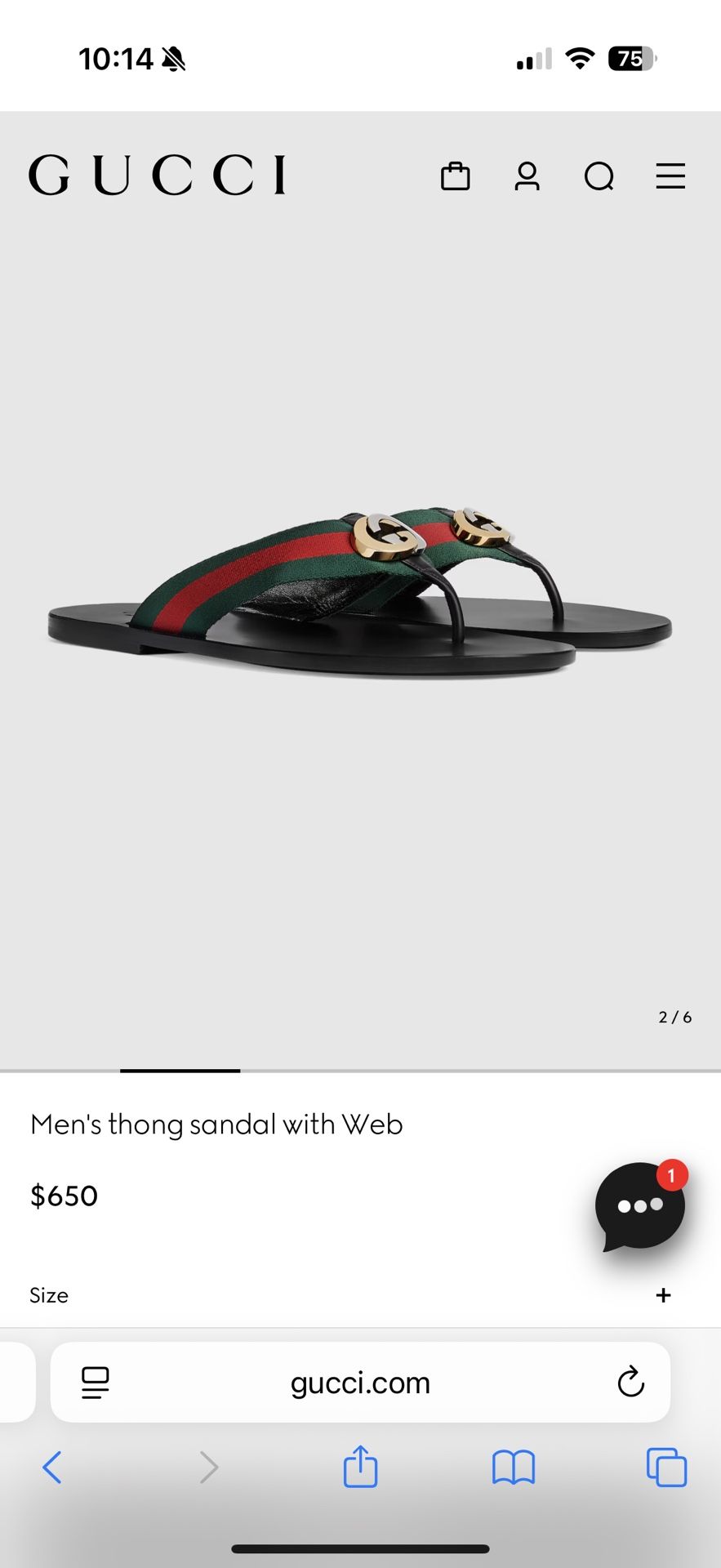 Gucci Men Flip Flop