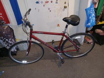 C40 RALEIGH SCHWINN 