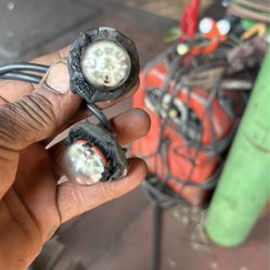 Whalen Strobe Lights 