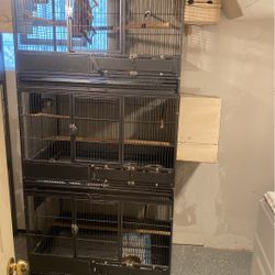 Birds Cage 