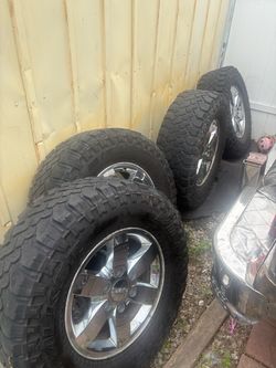 17 inch stocks