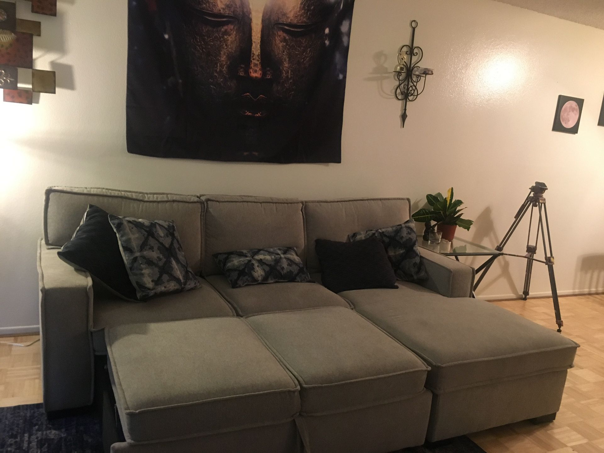 2 piece sectional w/ Pullout sleeper