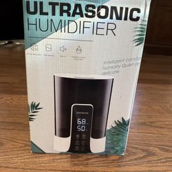 Humidifier 