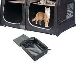 Cat Compartment 