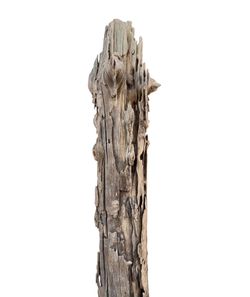 Weathered Straight And Cylindrical Rustic Gray Natural Driftwood 81” x 5”