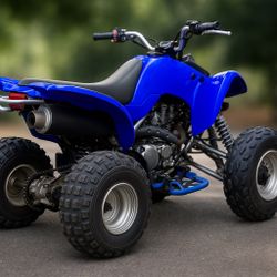 Yamaha 660raptor