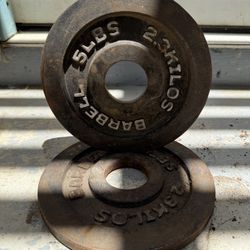 Gym Equipment 