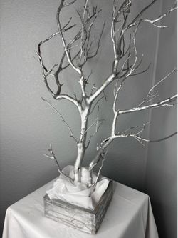 Gorgeous Silver Manzanita Tree
