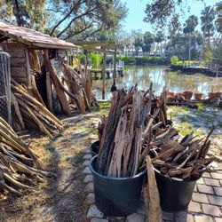 Driftwood, Root Balls, Aquarium Wood Available In Riverview 