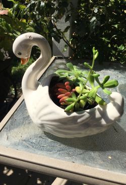 Swan planter