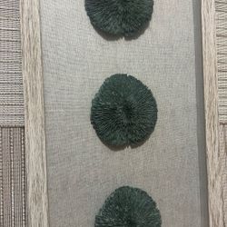 piece of framed coastal wall art featuring authentic green sea fan coral