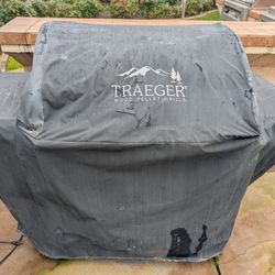 Traeger Grill Wood Chip Grill