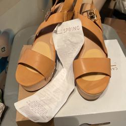 Heel Shoes /zapato De Tacon