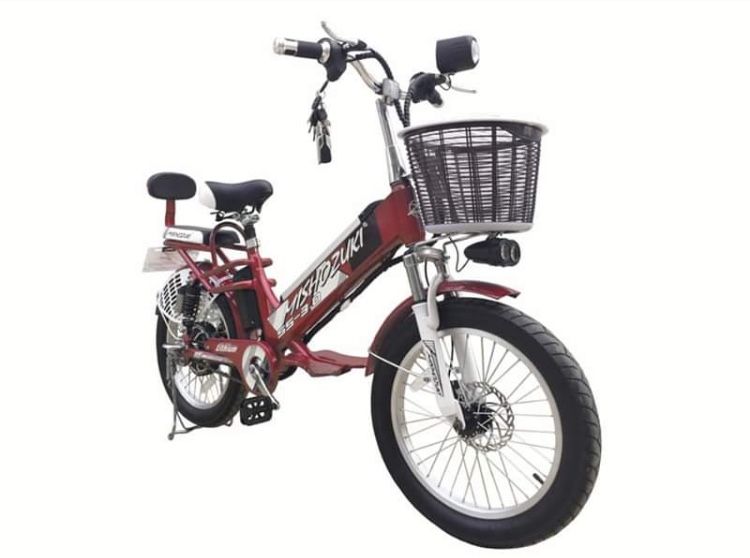 Electric Bicycle