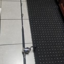 Fishing rod And Reel 