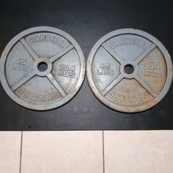 Pair of 45lb Olympic Iron Plates (90 lbs Total)