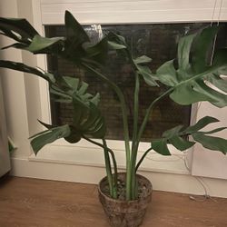 Faux Plant 