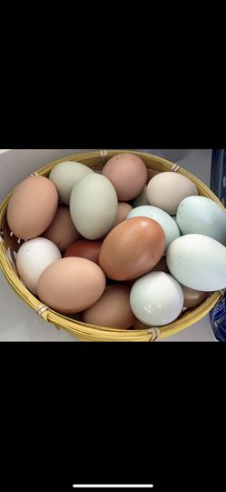 Farm fresh Eggs