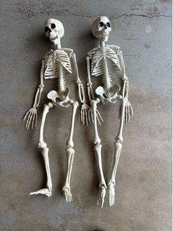 Full Body Plastic Halloween Skeleton Decorations (2)