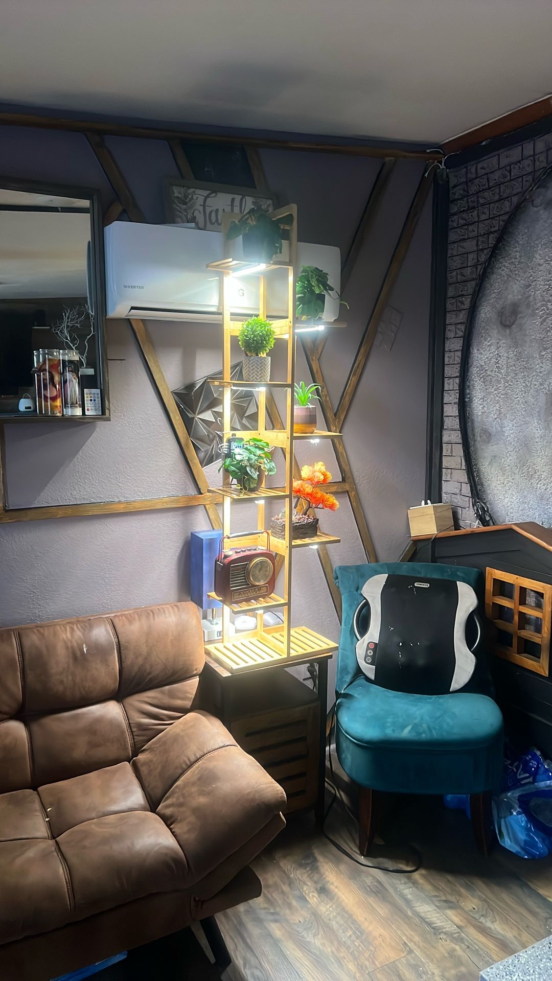 Bamboo Plant Assorted With Lights