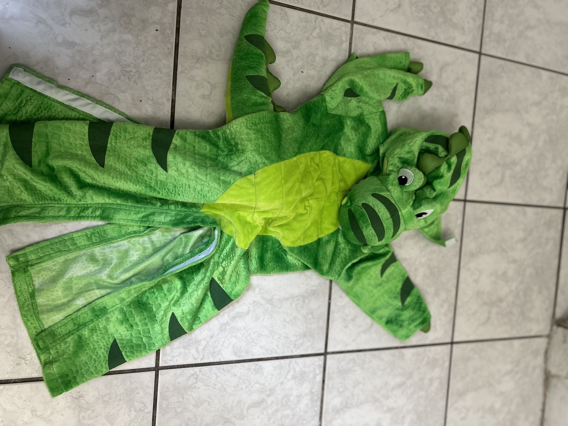dinosaur