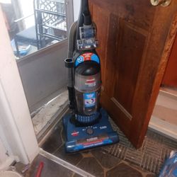 Bissell Powergroom helix rewind