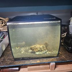 Fluval flex 15 gallon