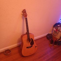 Montana acoustic guitar