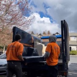 TRASH/LEAVE REMOVAL SERVICE