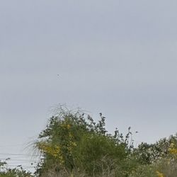 Computer part shopfront