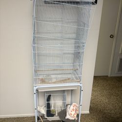 Bird Cage And Stuff