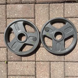 20lbs Olympic Weight Plates