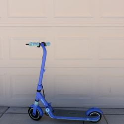 Ninebot Kids Electric Scooter