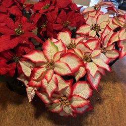 6 Fake Poinsettias/ 4 Red… 2 White