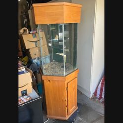 50 Gallon Hexagon Aquarium/Terrarium