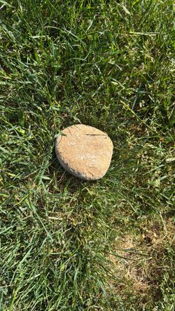 Cool ass rock I found