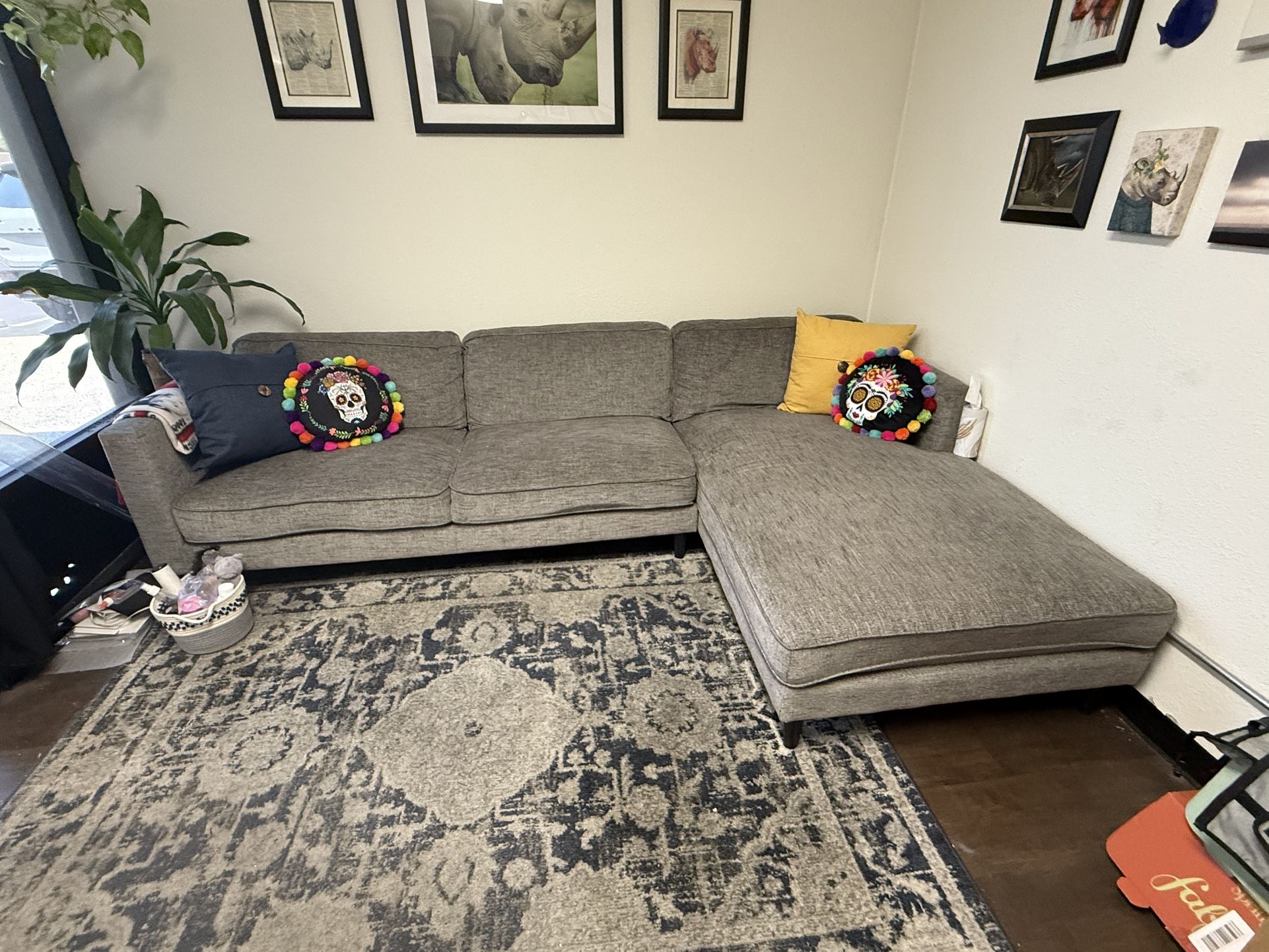 Grey Couch With Chase