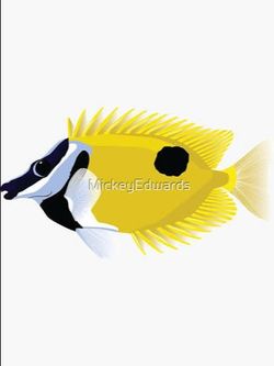 One spot foxface rabbit decor