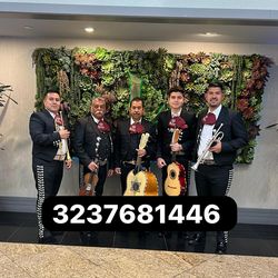 Vihuela violín mariachi