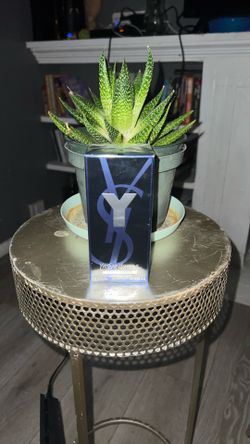 YSL EDP 3.3 Fl Oz E 100 ML