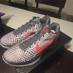 kobe 6 hollywood sz 14