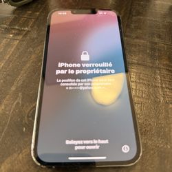 iPhone 13 Pro (iCloud locked)