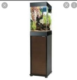 Great Fish Tank With Stand, Filter Amd All You Will Need